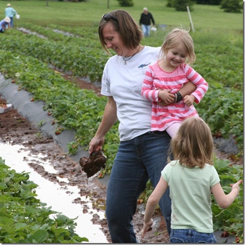 strawberryfieldmuddy