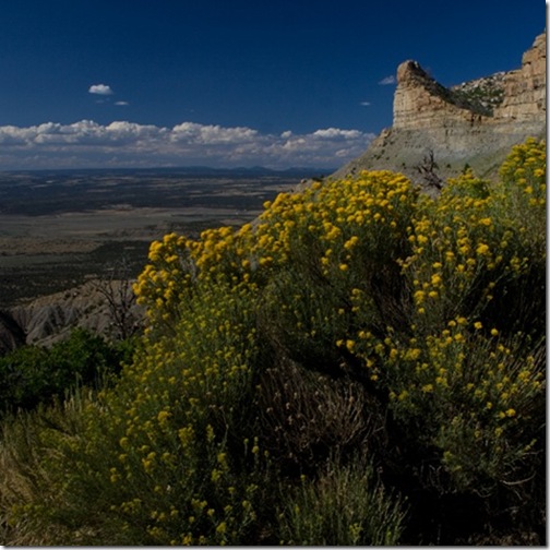 MesaVerde