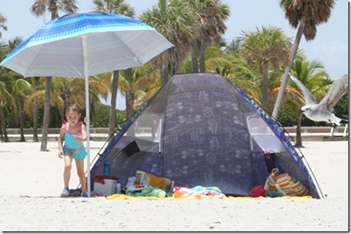 beachtent